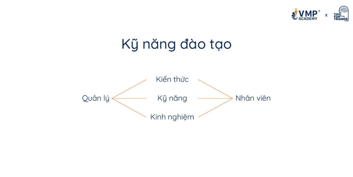 Kỹ năng đào tạo là gì? Kỹ năng đào tạo là gì?