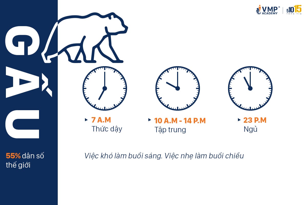 Học tập theo nhóm kiểu gấu