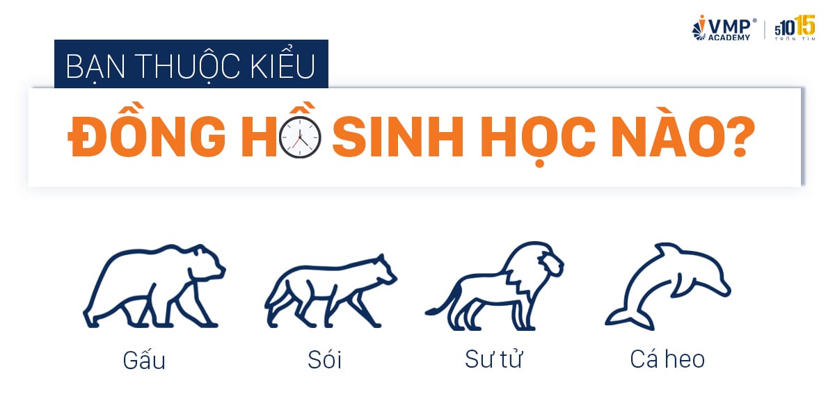 4 kiểu đồng hồ sinh học để làm việc năng suất