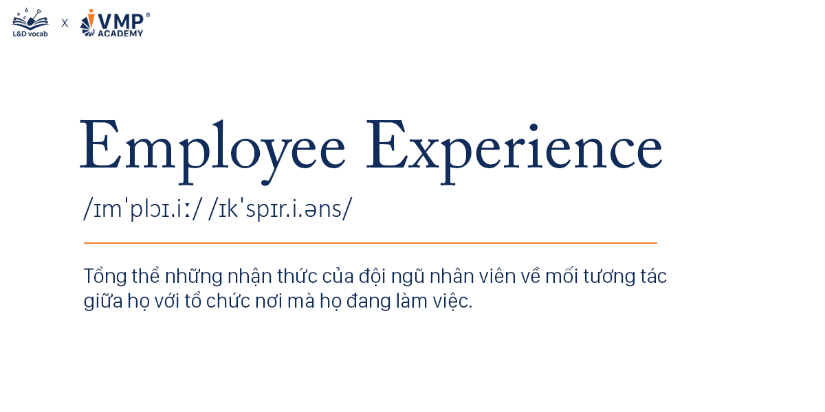 Trải nghiệm nhân viên là gì? Trải nghiệm nhân viên là gì?
